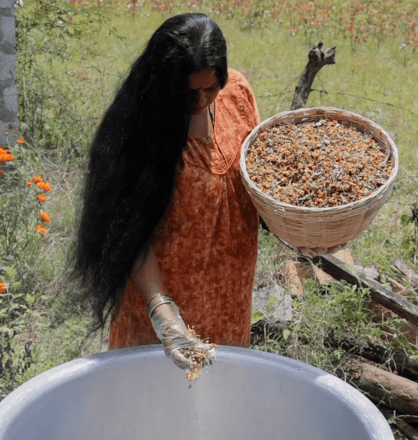 Adivasi Neelabari 100% Herbal Hair Oil for Men & Women - alternate view